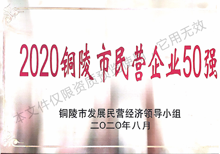 2020銅陵市民營企業(yè)50強